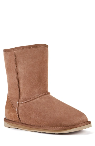 Australia Luxe Collective Suede Genuine Shearling Lined Cosy Short Boot In Chestnut