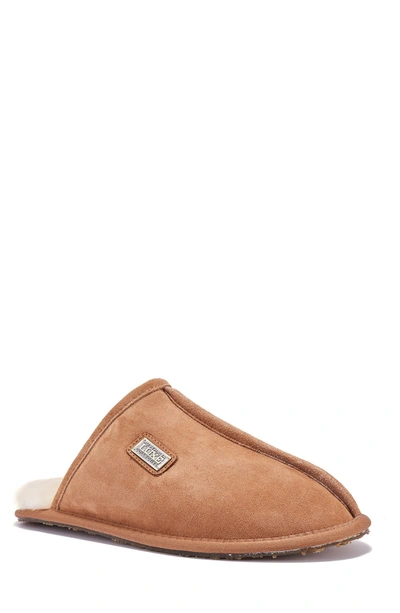 Australia Luxe Collective Suede Closed Genuine Shearling Lined Mule In Chestnut
