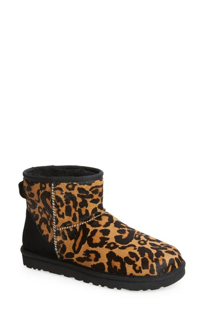 Shop Ugg Classic Mini Ii Genuine Shearling Lined Boot In Butterscotch Panther Print