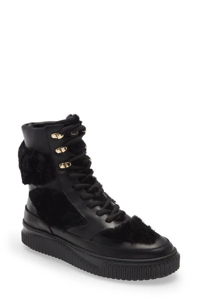 Shop Voile Blanche Ava Genuine Shearling High Top Sneaker In Black