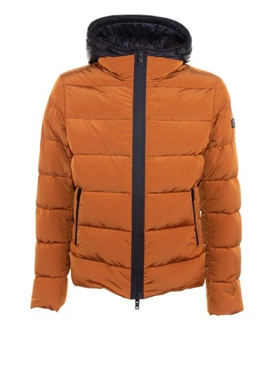 Shop Fay Down Jacket In Terracotta