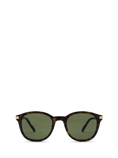 Cartier Rounded Acetate Sunglasses In Havana-havana-green | ModeSens