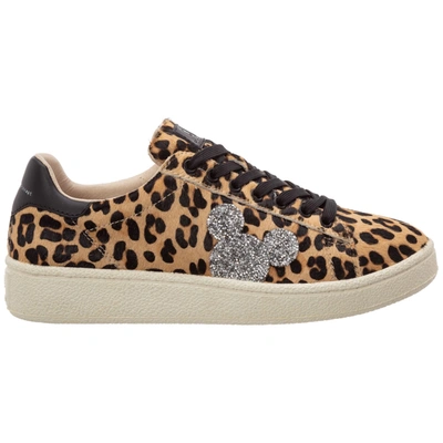 Shop Moa Master Of Arts Grand Master Sneakers In Marrone