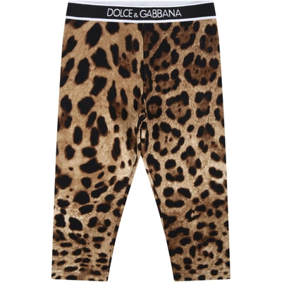Shop Dolce & Gabbana Brown Leggings For Babykids With Logo