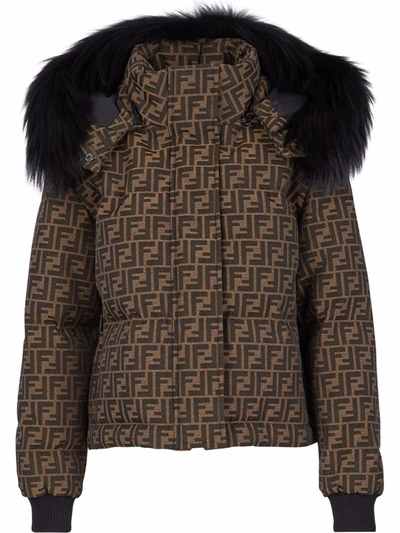 Shop Fendi Ff Logo-print Padded Jacket In Brown