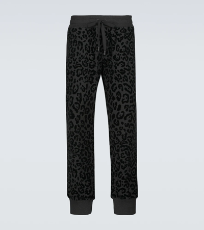 Shop Dolce & Gabbana Leopard-print Cotton Sweatpants In Grey