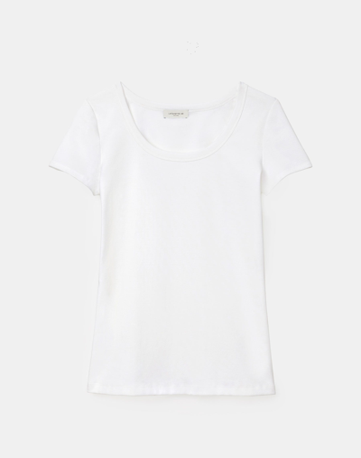 Shop Lafayette 148 Cotton Rib Scoop Neck T-shirt In White