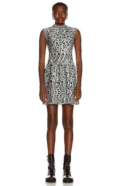 Alaïa Leopard Jacquard Front Zip Sleeveless Fit & Flare Dress In Gris & Noir
