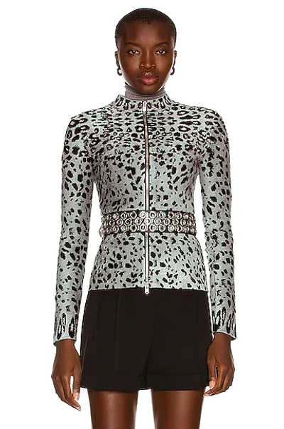 Alaïa Leopard-print Velvet Jacket In Gris & Noir