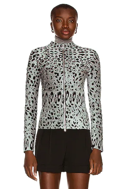 Alaïa Leopard-print Velvet Jacket In Gris & Noir