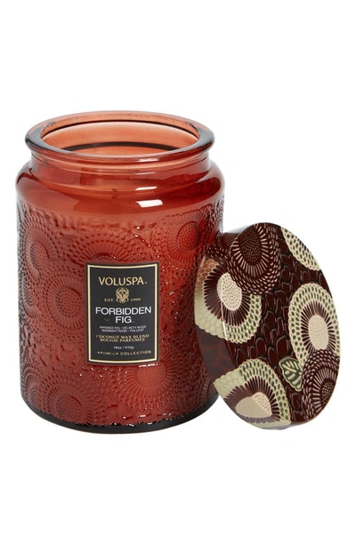 Shop Voluspa Forbidden Fig Large Jar Candle