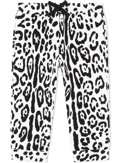 Shop Dolce & Gabbana Leopard-print Tracksuit Bottoms In White