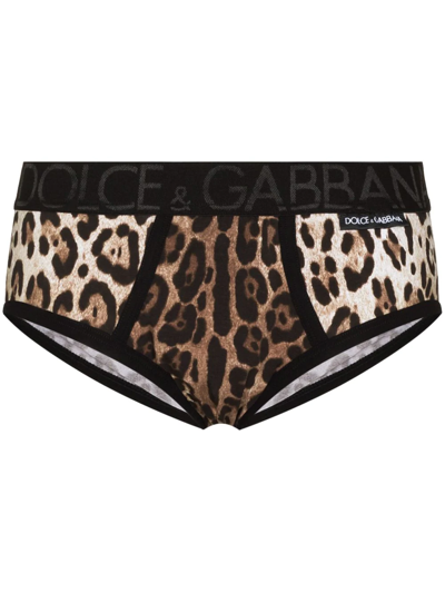 Shop Dolce & Gabbana Leopard Print Briefs In Brown