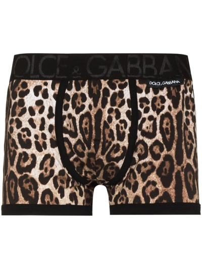 Shop Dolce & Gabbana Leopard Print Boxer Shorts In Brown