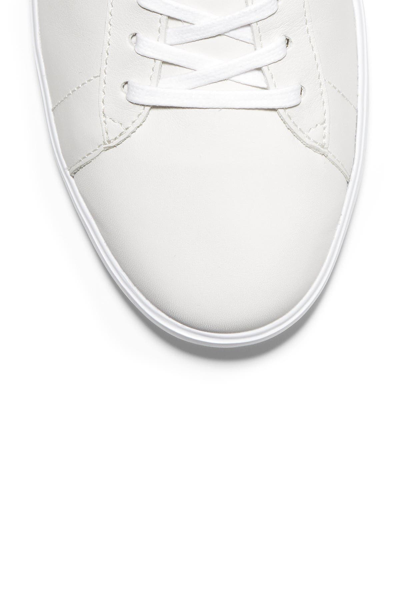 Shop Cole Haan Reagan Sneaker In Optic Whit