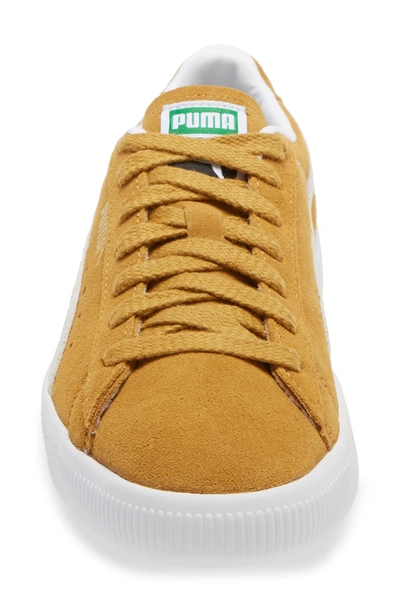 Shop Puma Suede Vtg Sneaker In Honey Mustard/  White