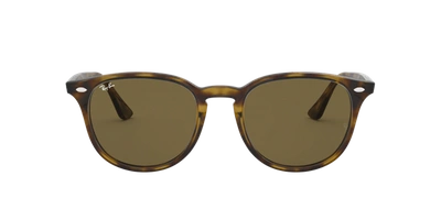 Ray Ban Ray In Dark Brown