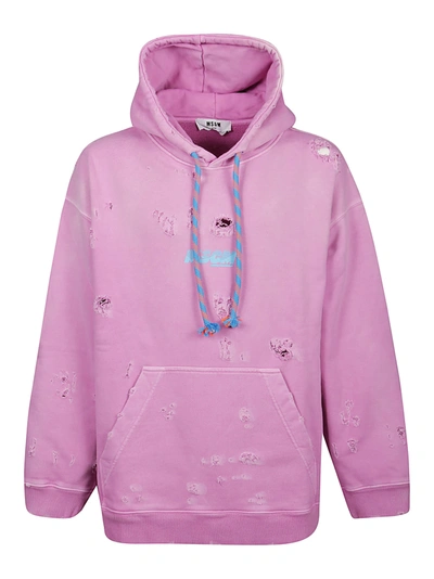 Shop Msgm Sweatshirt In Pink