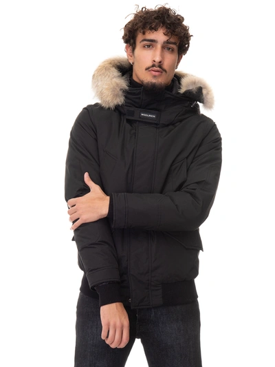Polar store harrington jacket