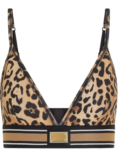 Shop Dolce & Gabbana Leopard-print Bralette Top In Brown