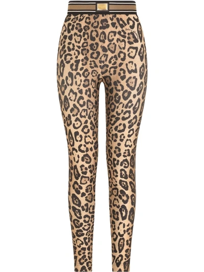 Shop Dolce & Gabbana Leopard-print Jersey Leggings In Braun