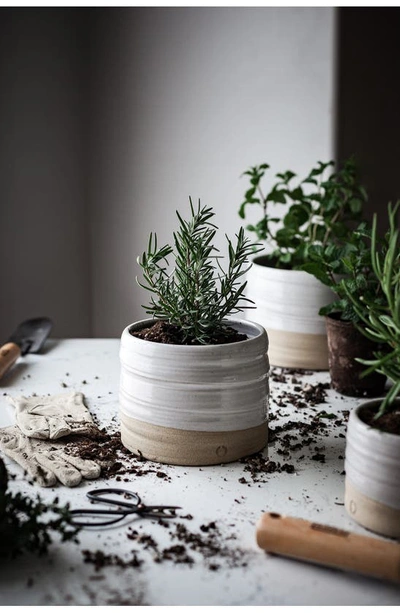 Shop Farmhouse Pottery Small Glazed Stoneware Garden Pot In White