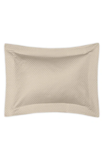 Shop Matouk Pearl Matelassé Cotton Sham In Almond