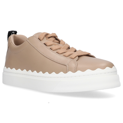 CC Low Sneaker Beige Wool