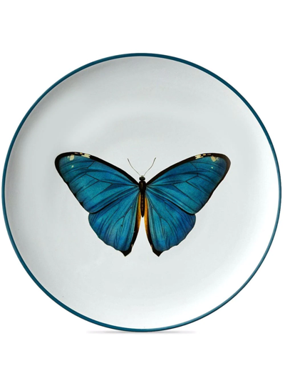 Shop Les-ottomans Insetti Porcelain Plate (21cm) In Multicolour