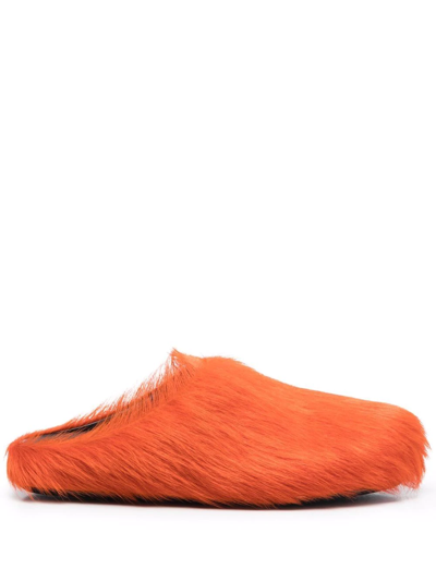 Shop Marni Fussett Sabot Calf-hair Mules In Orange