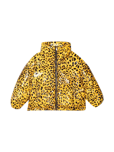 Shop Dolce & Gabbana Animalier Girl Down Jacket In Leopardato