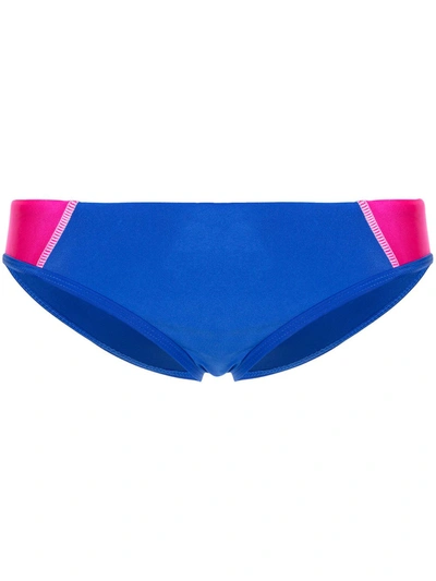 Shop Duskii Ella Two-tone Bikini Bottom In Blau