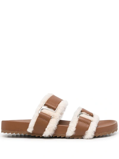 Shop Senso Dalley Double-strap Sandals In Braun