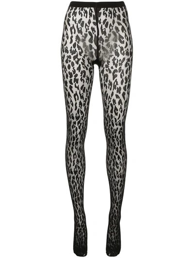 Shop Wolford Leopard-print Semi-sheer Tights In Black