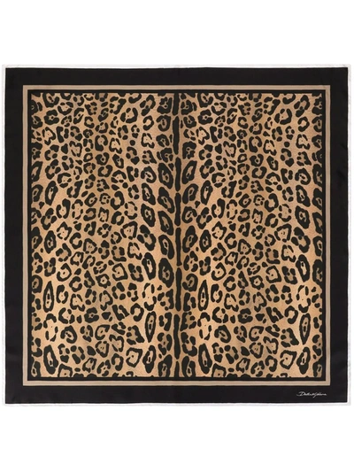 Shop Dolce & Gabbana Leopard-print Silk Scarf In Braun