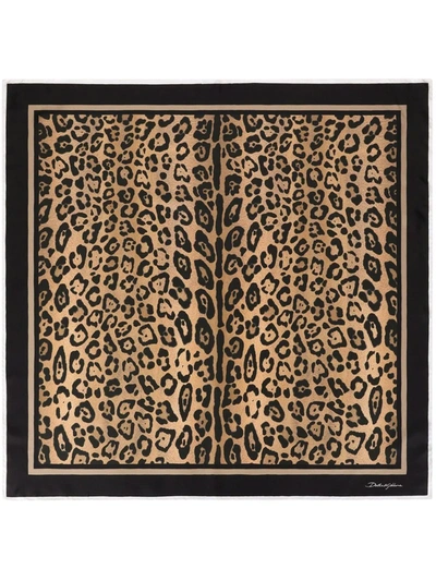 Dolce & Gabbana Leopard-print Silk Scarf In Braun