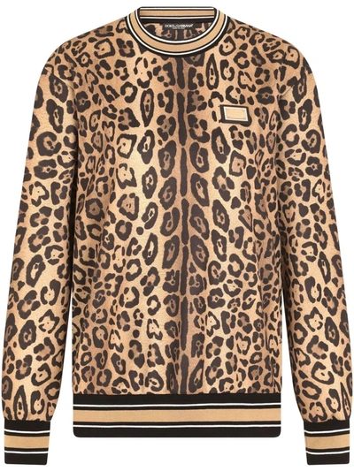 Shop Dolce & Gabbana Leopard-print Jersey Sweatshirt In Braun