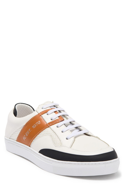 Shop French Connection Score Sneaker In Orange