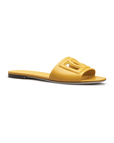 Shop Dolce & Gabbana Cutout Dg Flat Slide Sandals In Ochre