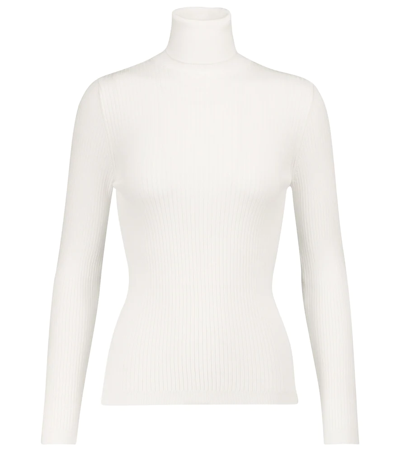 Shop Fusalp Ribbed-knit Turtleneck Sweater In Poudre