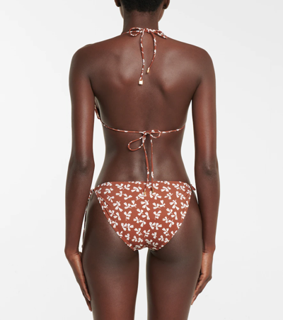 Shop Tory Burch Printed Triangle Bikini Top In Rust Little Leaves
