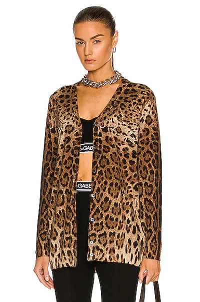 Shop Dolce & Gabbana Long Sleeve Cardigan In Leopard