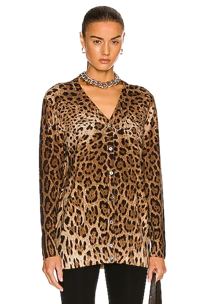 Shop Dolce & Gabbana Long Sleeve Cardigan In Leopard