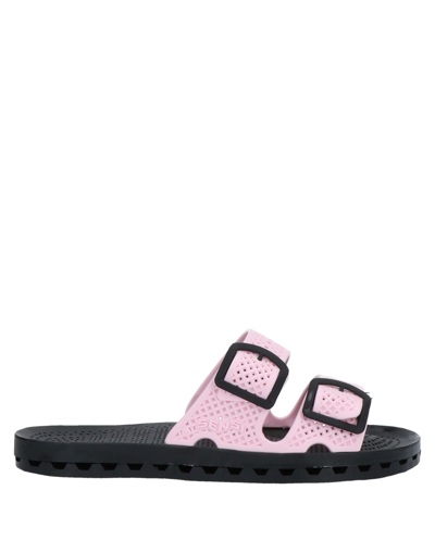 Shop Sensi Sandals In Pink
