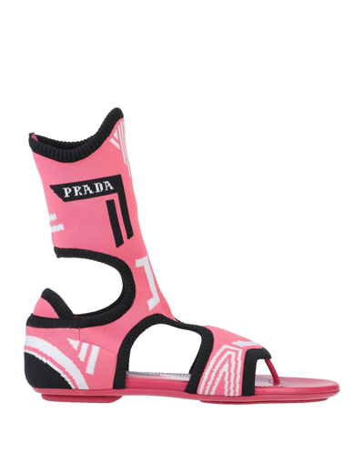 Shop Prada Toe Strap Sandals In Pink