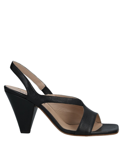 Shop Ettore Lami Woman Sandals Black Size 7 Goat Skin