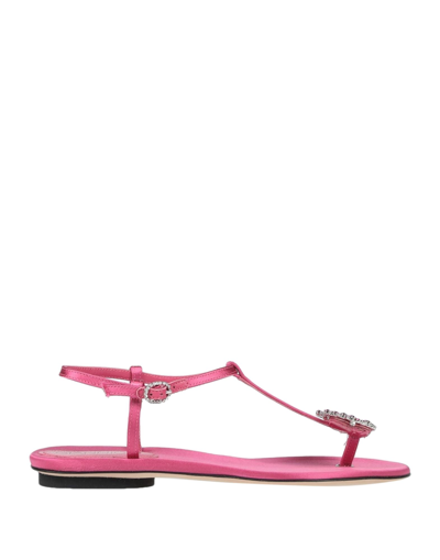 Shop Giannico Toe Strap Sandals In Fuchsia