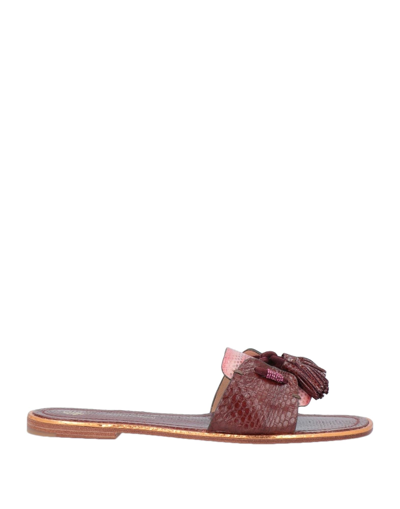 Shop Maliparmi Malìparmi Woman Sandals Cocoa Size 6 Soft Leather In Brown