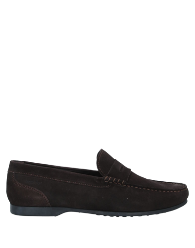 Shop Sebago Man Loafers Dark Brown Size 8 Leather