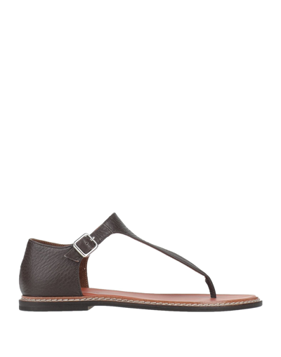 Shop Sofie D'hoore Toe Strap Sandals In Dark Brown